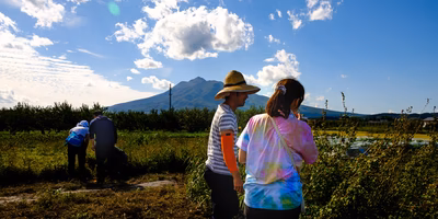 珍野菜セットを“とり”に、津軽名物･赤石親子の畑に行ってきたよ