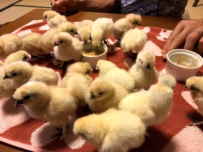 みんなの投稿の画像