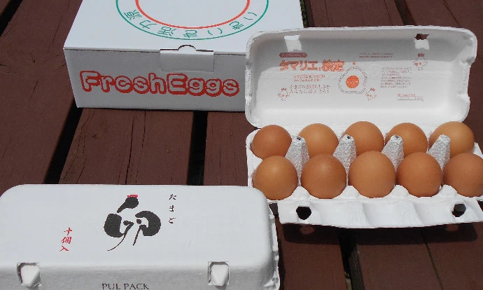 【チルド】後藤もみじの地養卵　20～160個