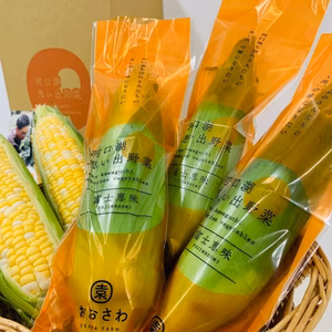 【2025年8月予約】やみつきリピーター続出☆食のプロが唸る富士信玄とうもろこし
