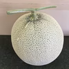 静岡メロン 　☆糖度14度以上☆ご家庭用☆農家直送☆