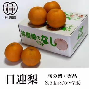 日迎梨・秀品（林農園オリジナル品種）　約2.5kg(5～7玉)【熨斗対応】