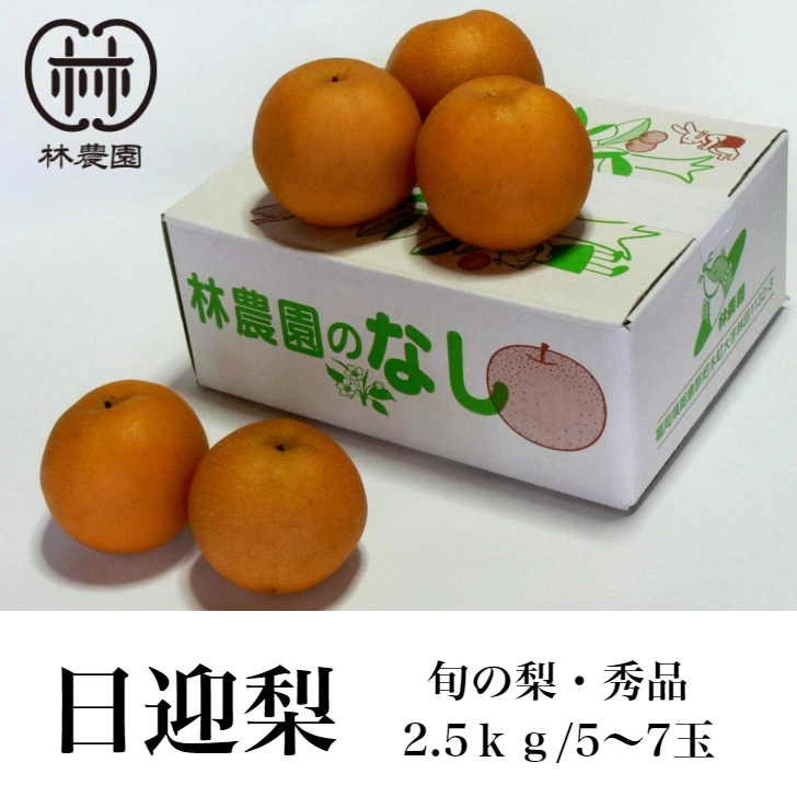 冬の梨・日迎梨（林農園オリジナル品種）　約2.5kg(6〜4玉)【熨斗対応】