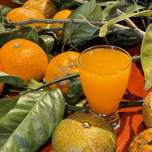 みかんB級無農薬　自然肥料除草剤不使用家庭用　わけあり