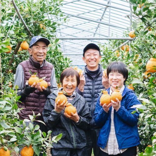 専用♥お年玉超特価❤みかん♥もちぷに♥規格外…大きなブランケット☆Ｗボアケット⭐ FANS もちもちみかんぬいぐるみXL プレミアム オンラインクレーン