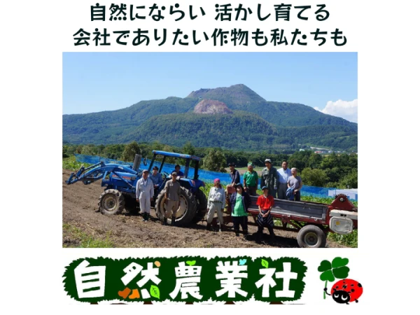 有機安納芋！お買い得！熟成おまかせ掘りたてです。農薬・化学肥料