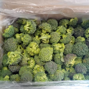 ご注文いただいてから収穫！お手入れ簡単！！ミニブロッコリー（エコファーマー認定）