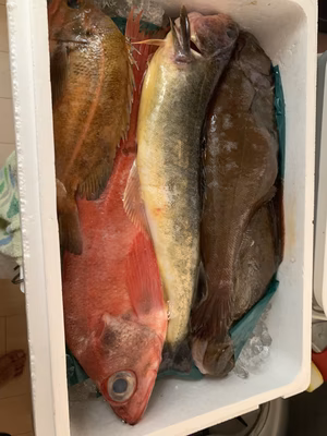 みんなの投稿の画像