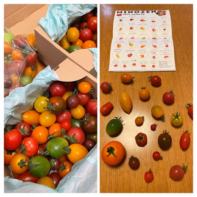 みんなの投稿の画像