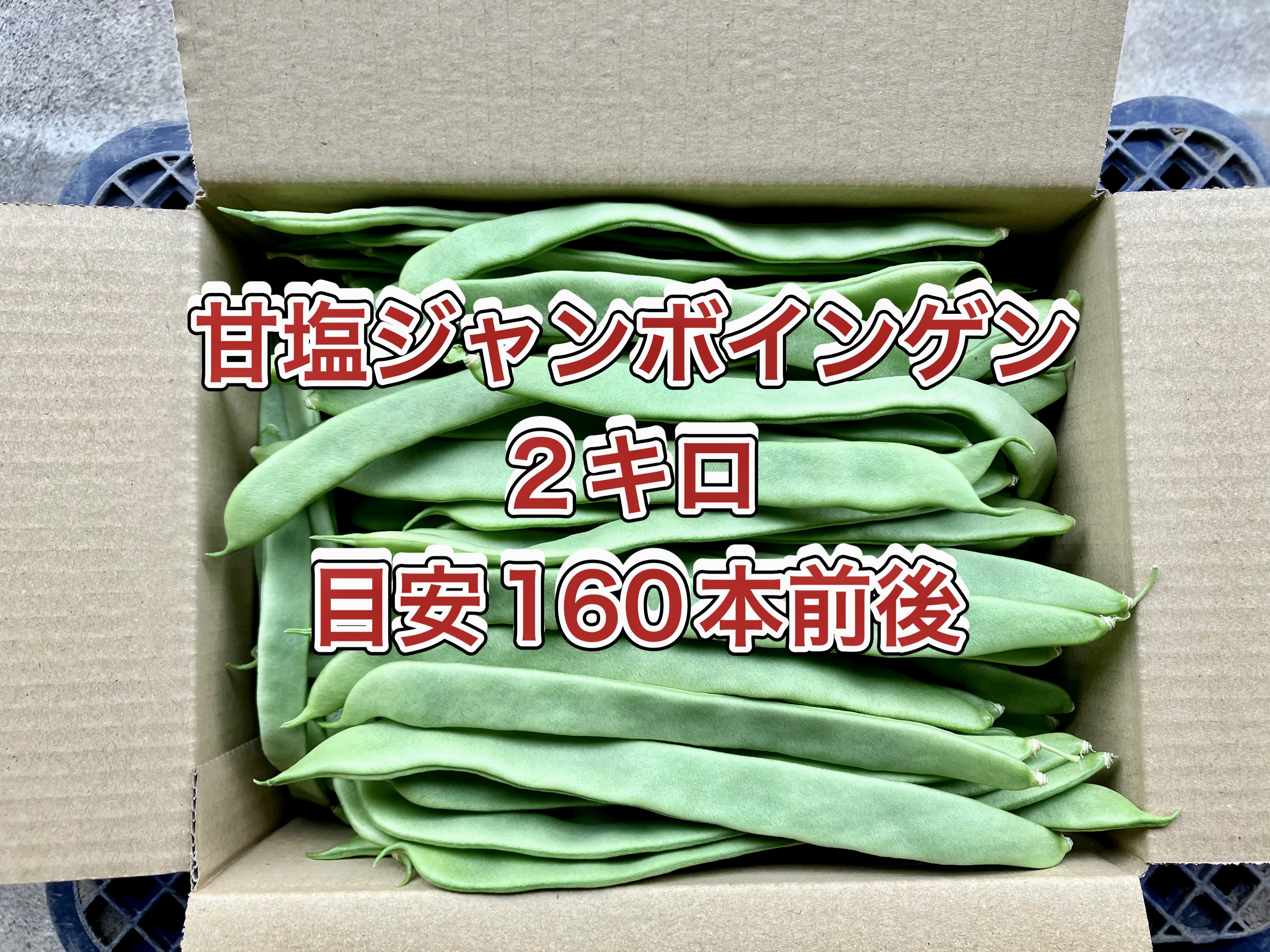 甘塩新玉ねぎ箱込み2キロ^_^ - 野菜