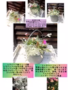 花農家がつくる！可愛い鉢と季節のお花お任せ寄せ植え★プレゼントにも！
