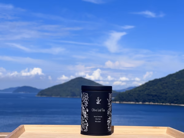 オリーブリーフティー