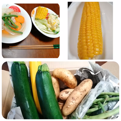 みんなの投稿の画像