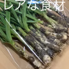 【土付き】朝採れ　葉ニンニク 300g