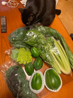 みんなの投稿の画像