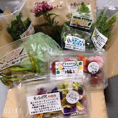 みんなの投稿の画像