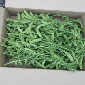 枝付き枝豆