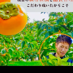 【すぐに発送！】ワケあり長生き次郎柿『長寿郎』家庭用