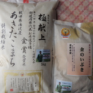 miya様　専用出品