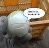 【訳あり品】鹿児島のたまねぎ【サイズ混合】