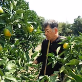 片山威俊 | 紀州由良　片山農園