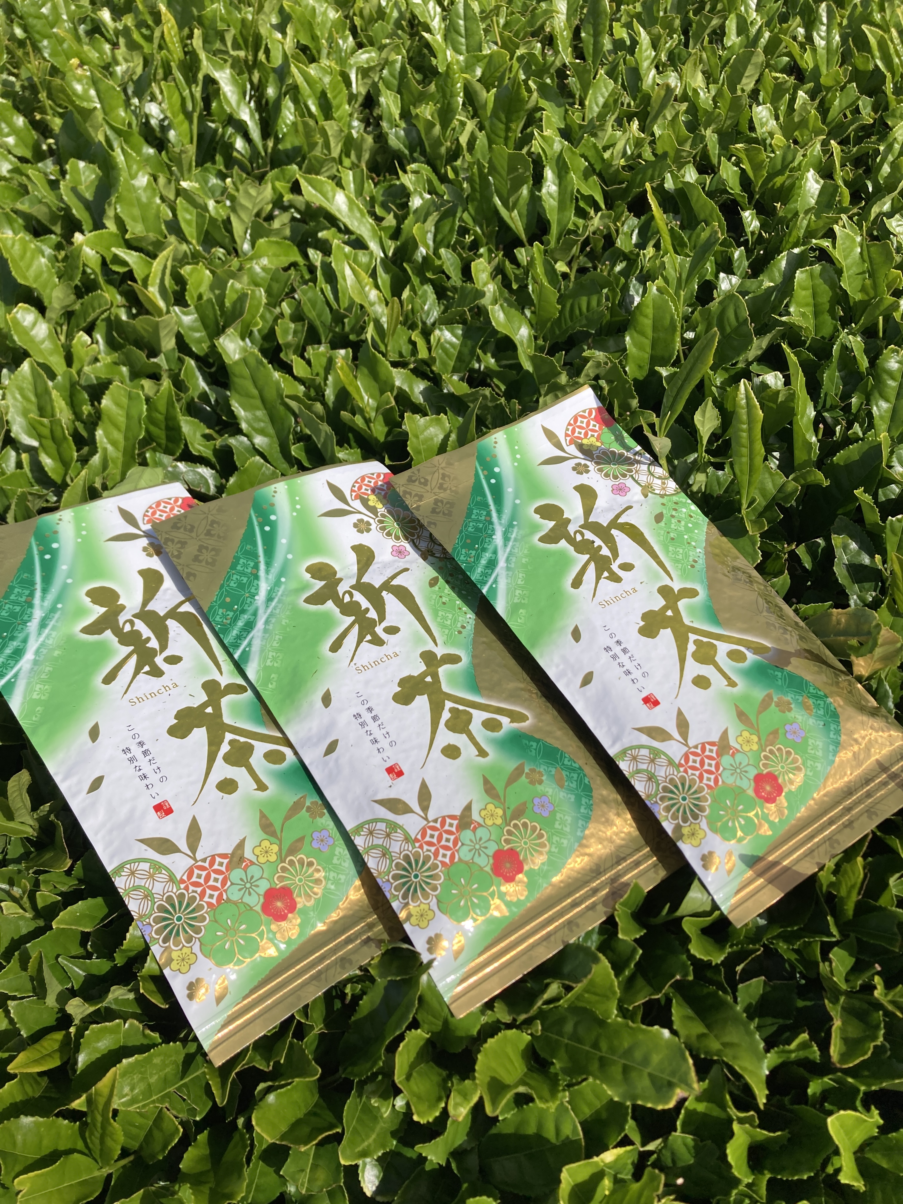 令和7年の新茶の産直通販・お取り寄せ商品｜ポケットマルシェ｜産地