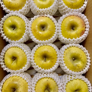 数量限定！シナノゴールド 12個 小玉 約2.8kg 信州りんご 