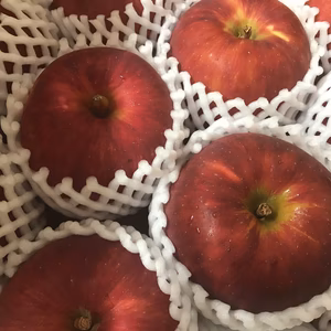 【夏りんご】青森県産りんご「つがる」　家庭用 キズ有 5kg~【クール便配送】