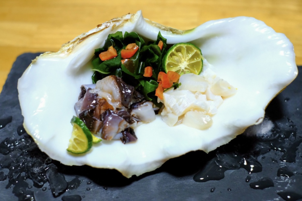 徳之島産 シャコガイ 1 8kg 殻付き 農家漁師から産地直送の通販 ポケットマルシェ