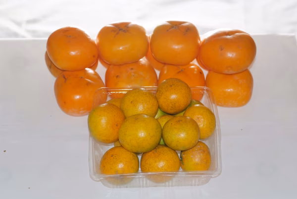 【訳あり】種なし特大柿2㎏+ゆらミカン大小混合家庭用2kg