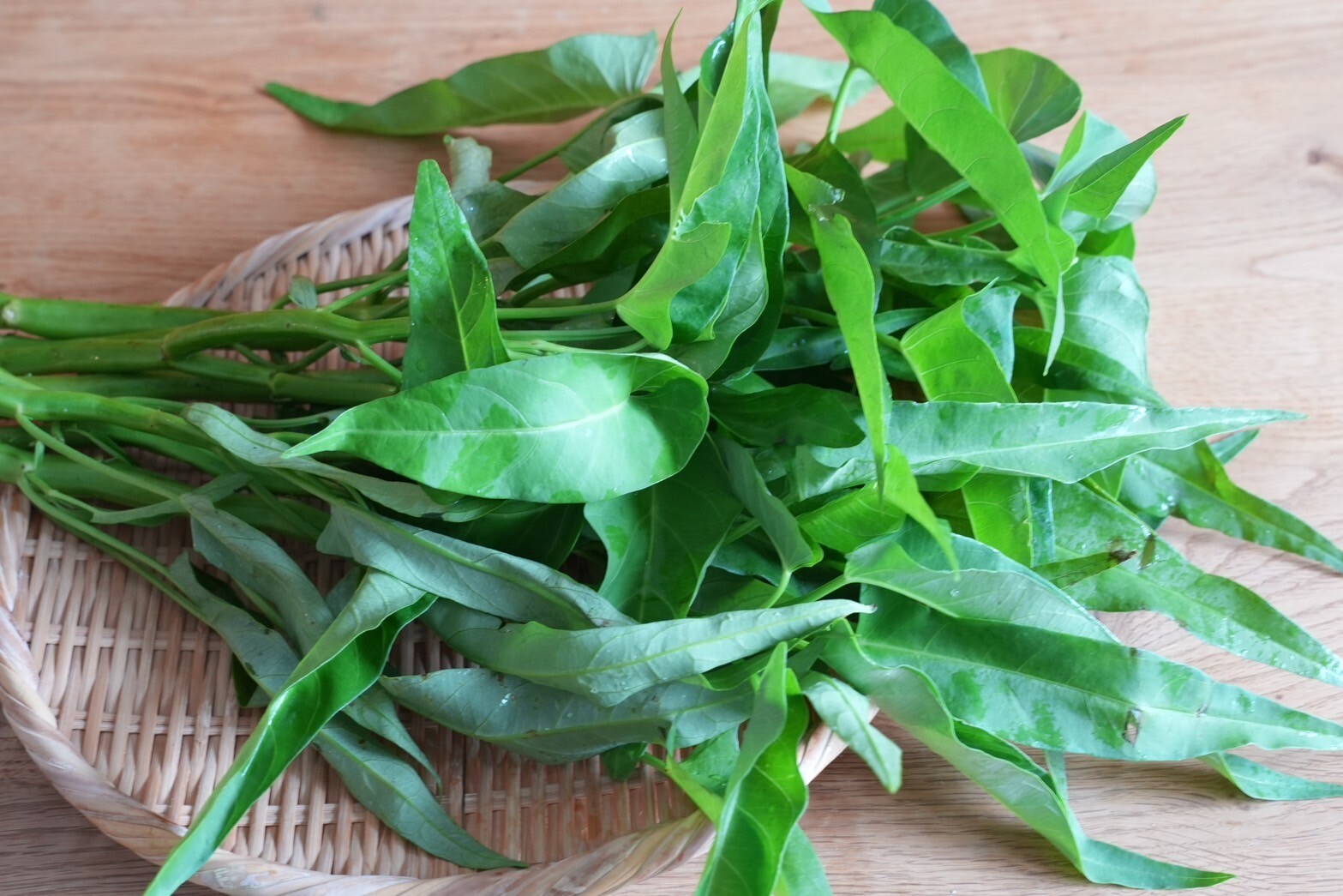 空芯菜の通販・お取り寄せ商品｜野菜｜ポケットマルシェ｜産地直送で旬