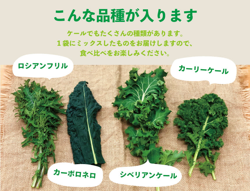 旬彩サラダセットとケールセット 化学肥料 農薬不使用 農家漁師から産地直送の通販 ポケットマルシェ