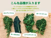 旬彩サラダセットとケールセット〈化学肥料・農薬不使用〉