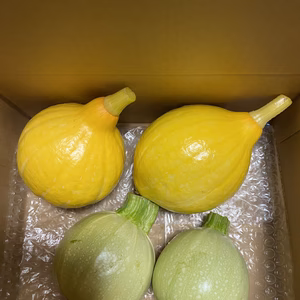 コリンキー＆丸ズッキーニの2個ずつセット（栽培期間中無農薬）