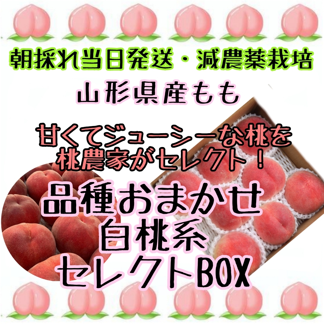 山形県産 減農薬栽培 樹成り完熟桃 「恋みらい」2キロ箱 ご家庭用