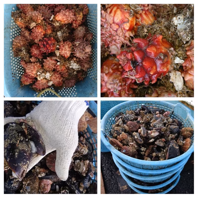 みんなの投稿の画像