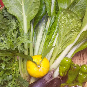 野菜セット7種くらい