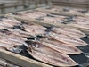 豪華ヤマイチ大漁舟盛りセット12種