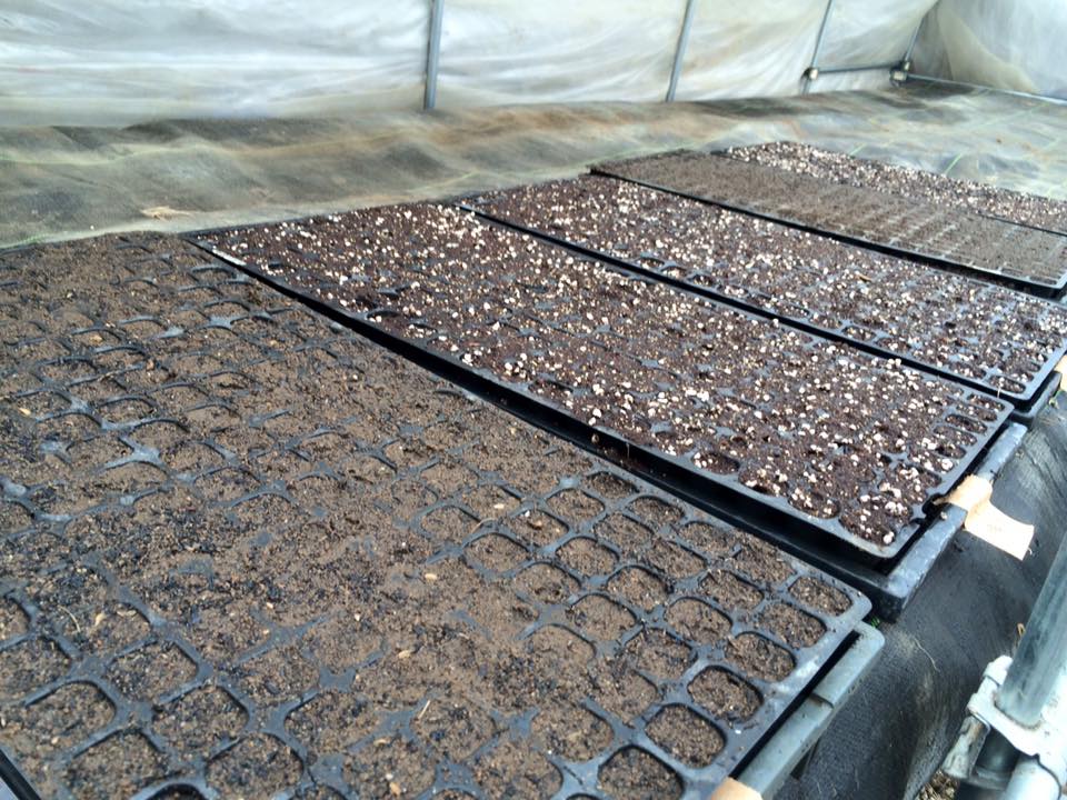 12651331_967303890026612_3679064221834420438_n