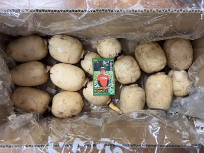 みんなの投稿の画像