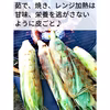 【食卓応援♪夏の暑さを吹き飛ばせ!!】朝どり枝豆&ドルチェドリーム 