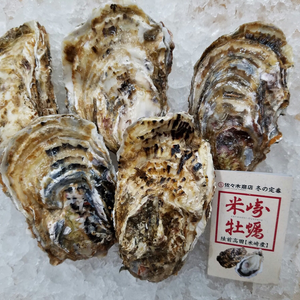 牡蠣バカがつくる米崎牡蠣(生食用)お試し食べ頃サイズ5個(小サイズ)
