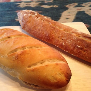 オーガニック小麦でパンづくり　国産パン用小麦【全粒粉1.5kg】