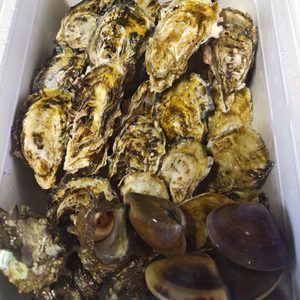 BBQセット【数量限定】