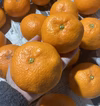 【訳あり】『三ヶ日みかん』甘みと酸味のバランスの良いみかん！残り1箱！