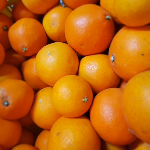 じゃばら3㌔　甘平3㌔　おまけつき