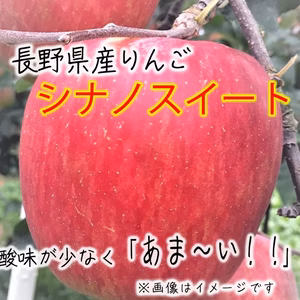 【家庭用】シナノスィート 訳あり品 ～ 長野県産りんご