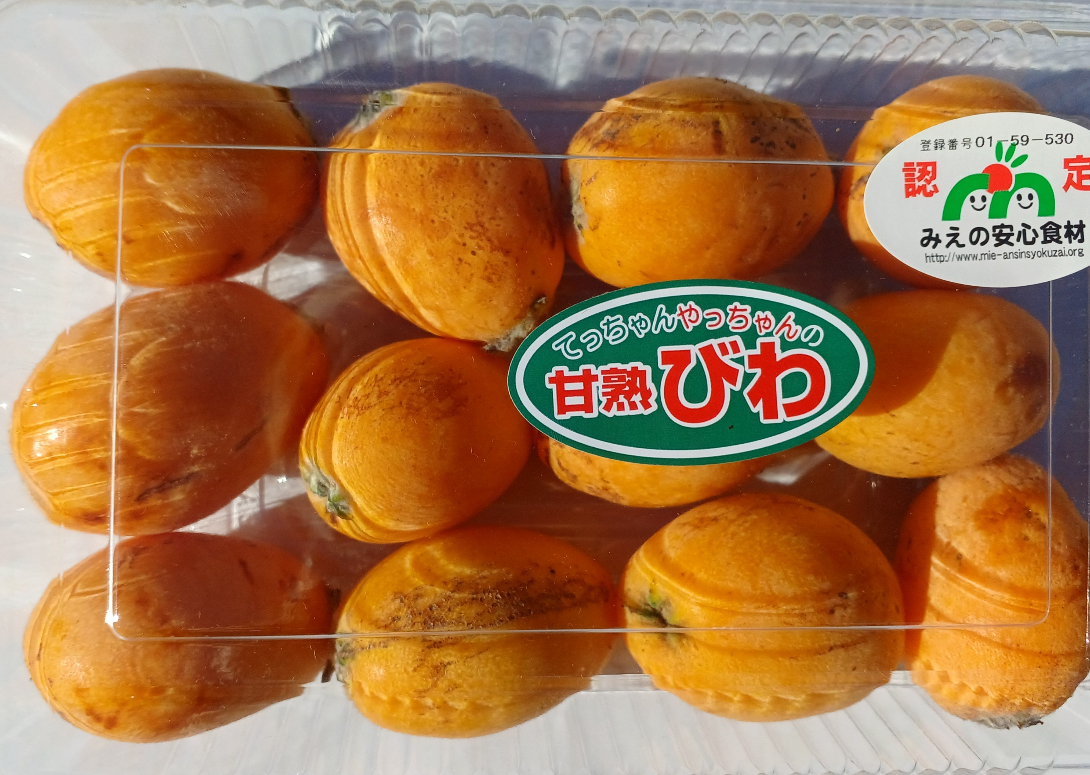 1日限定1点【キズ訳あり大小混B級品】【甘熟びわ】みえの安心