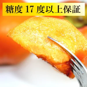 感動果物富有柿【糖度17度以上保証】新食感レモン付！
