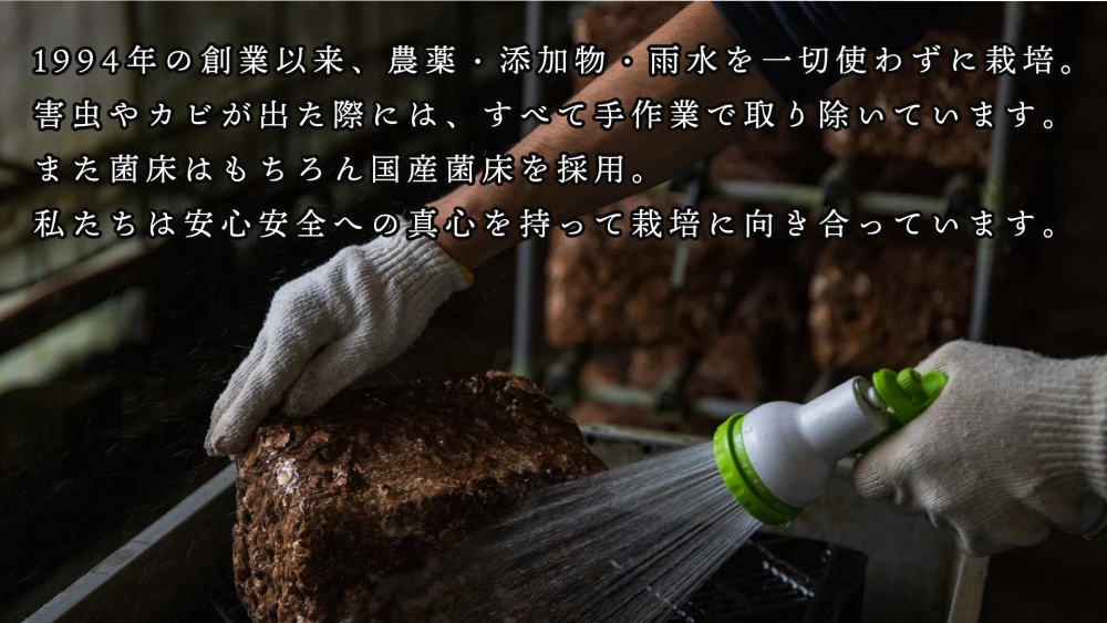 ラッキー椎茸1kg